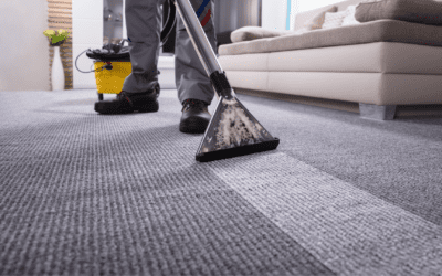 Why Regular Carpet Cleaner Servicing Saves You Money
